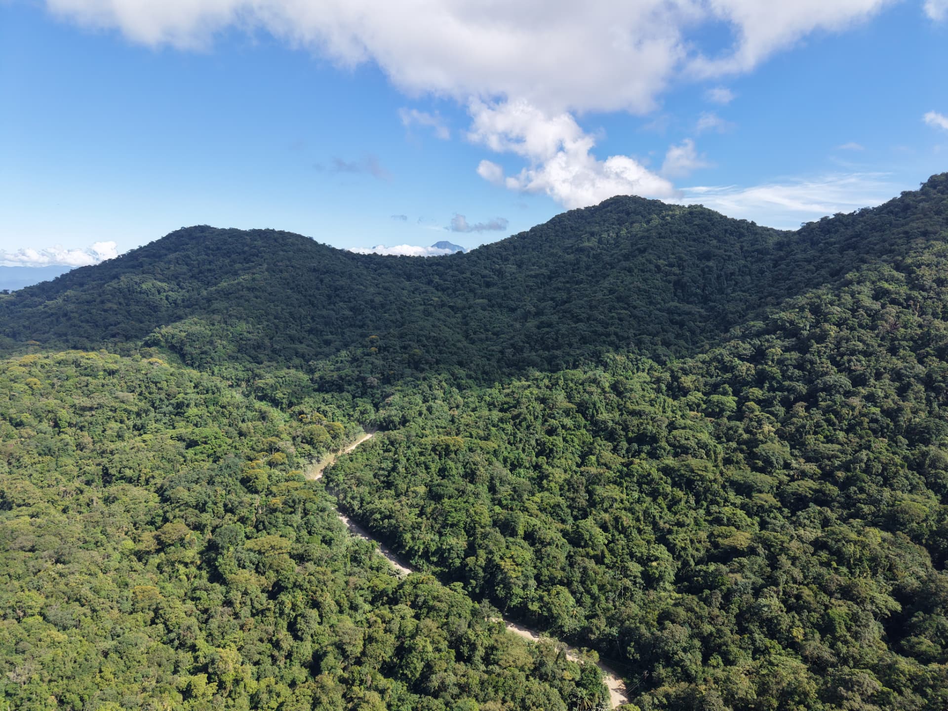 Vista aérea de drone de área de atuação da Angico